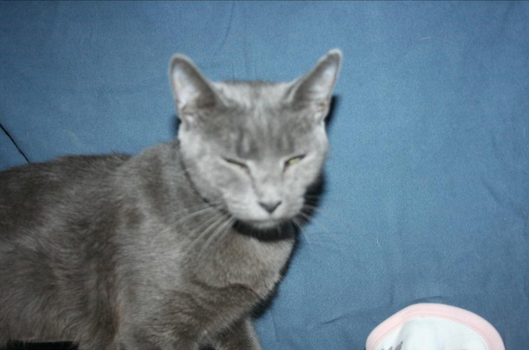 Sweetie photo 4