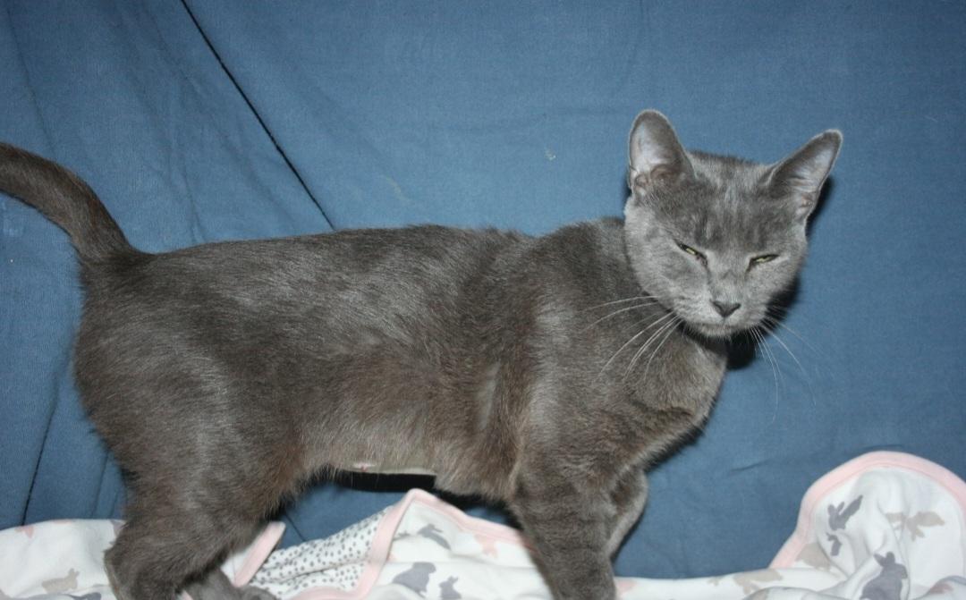 Sweetie photo 5