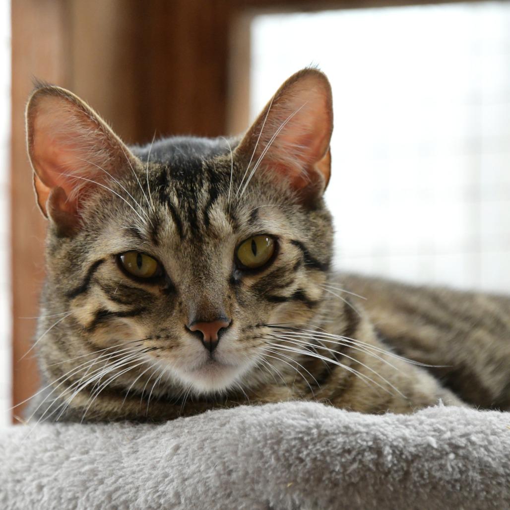 Braap — thumbnail 3