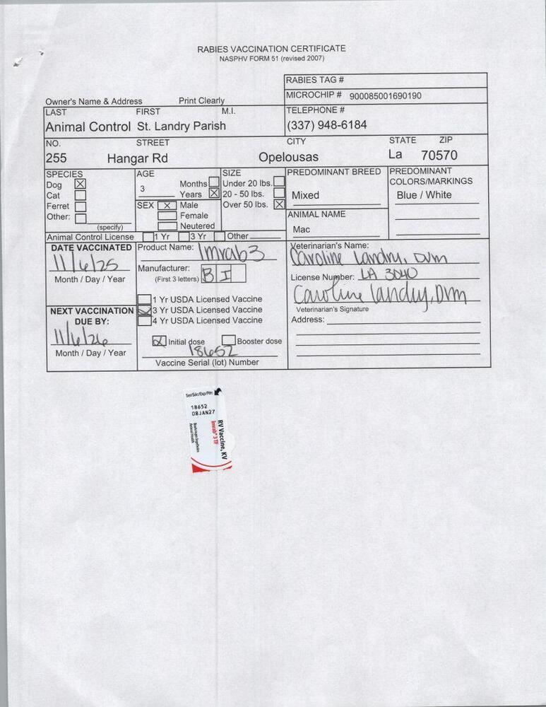 Enlarge Mac, a Adoptable mixed breed in Opelousas, LA image 2/2