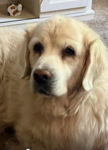 Kailey #2 — thumbnail 2