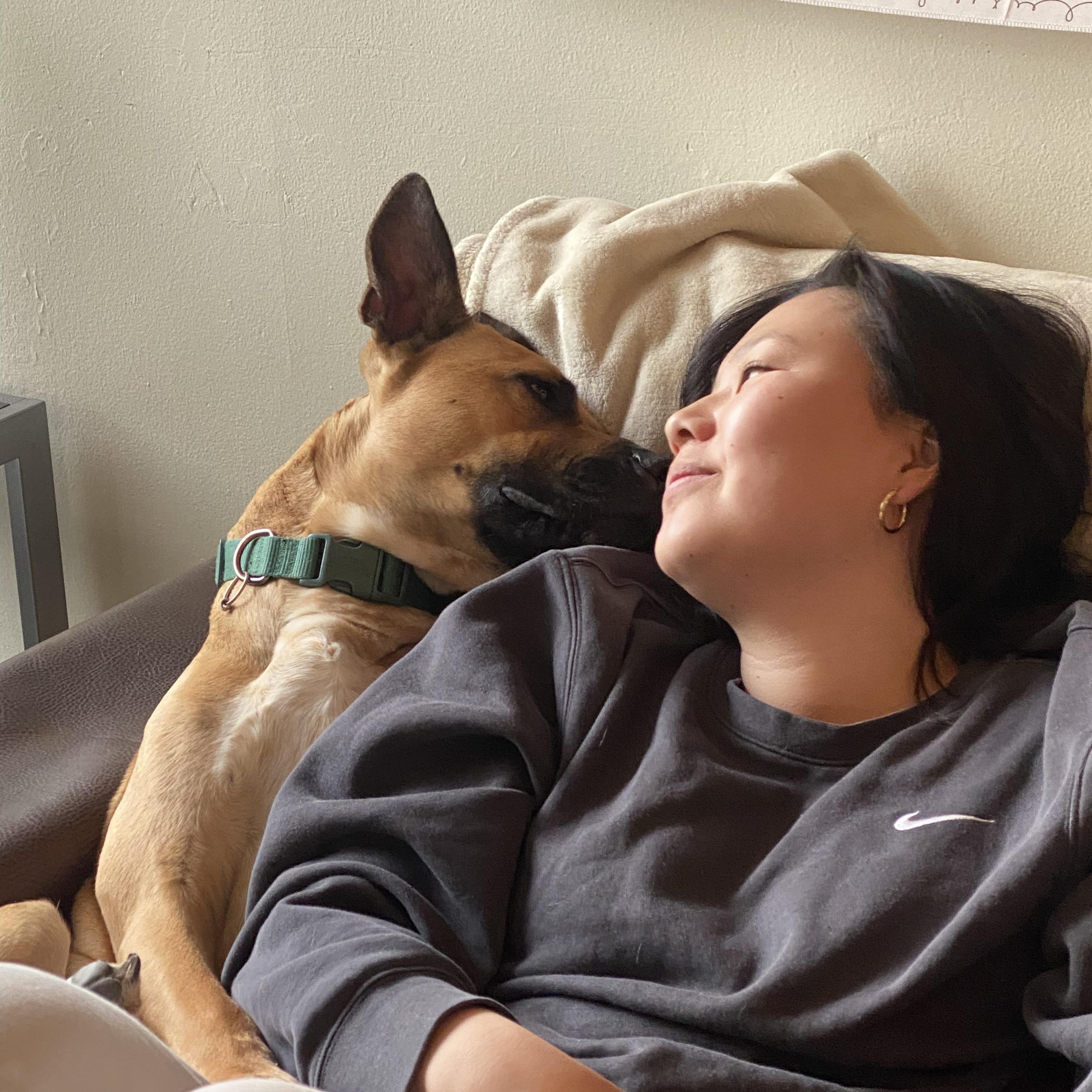 Milo, a Adoptable mixed breed in Murrieta, CA image 6/6