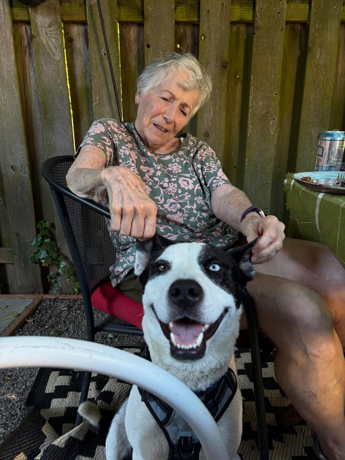 Enlarge Echo, a Adoptable mixed breed in Portland, OR image 5/5