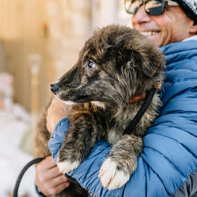 Enlarge Nutella, an adopted mixed breed in Chester Springs, PA image 2/5
