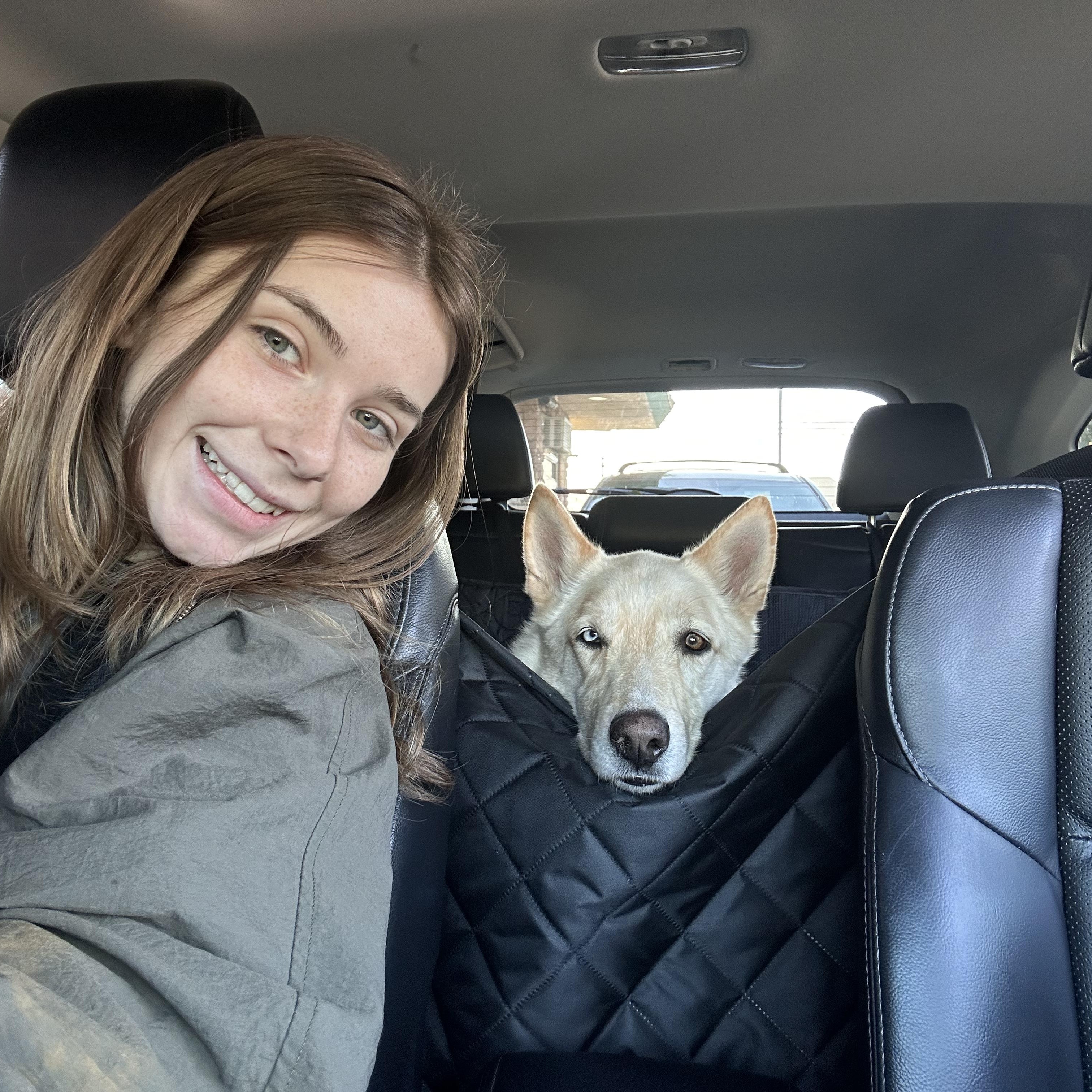 Enlarge Max, a ADOPTABLE mixed breed in Burbank, CA image 5/6