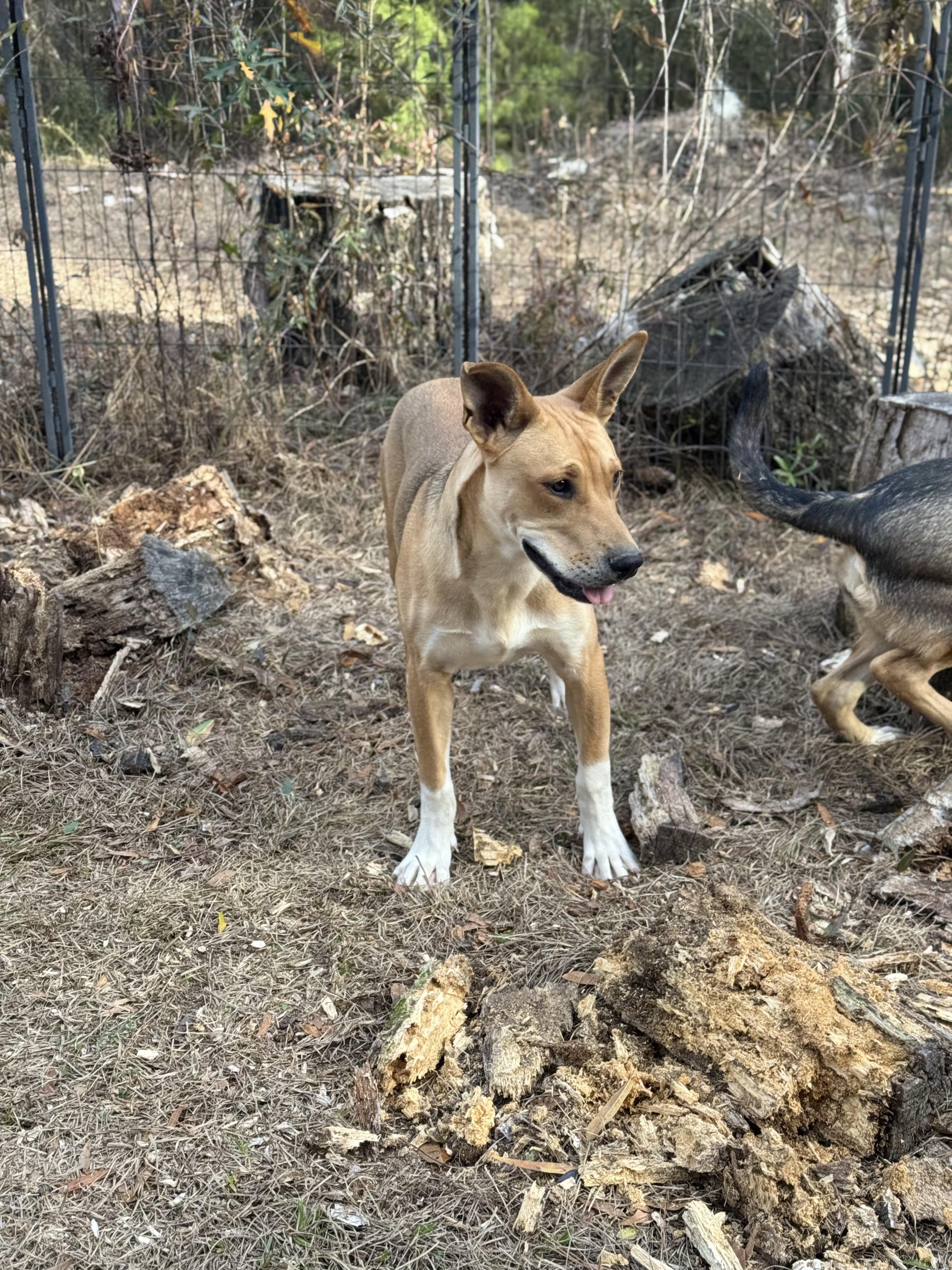 MADAM SIDE-EYE SNITCHINGTON — thumbnail 5