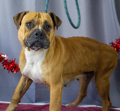 Tina — thumbnail 2