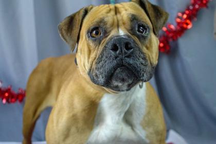 Tina — thumbnail 3