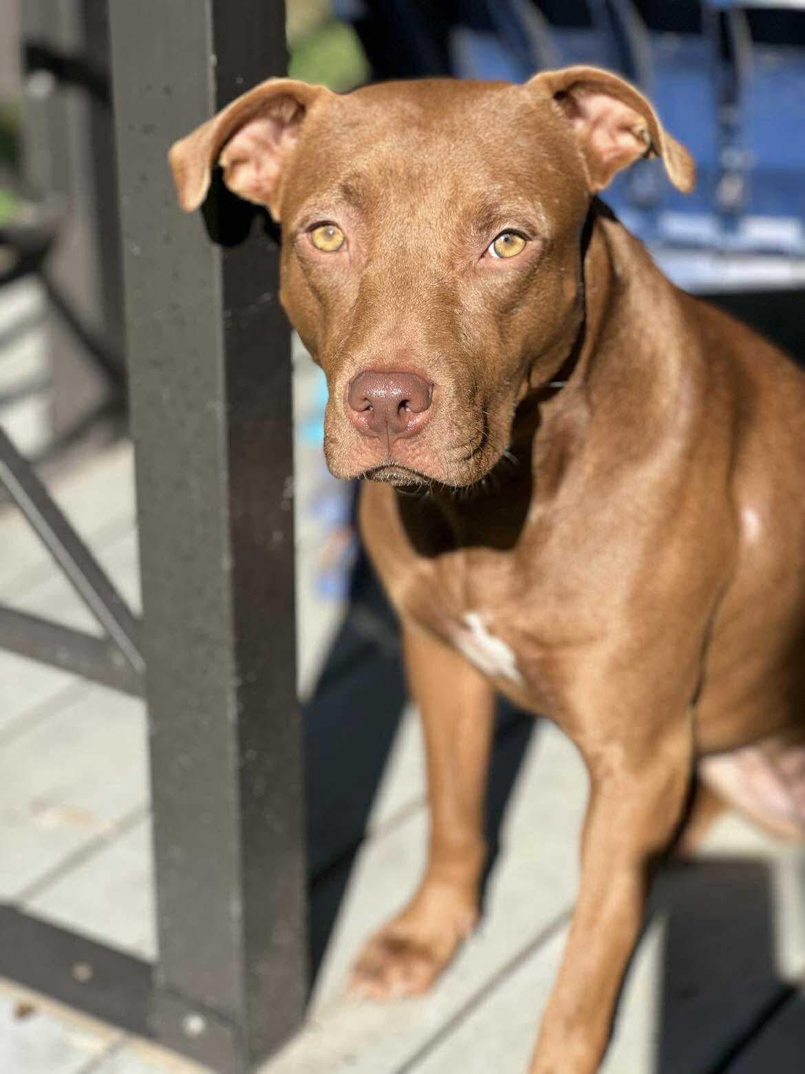 Ellie