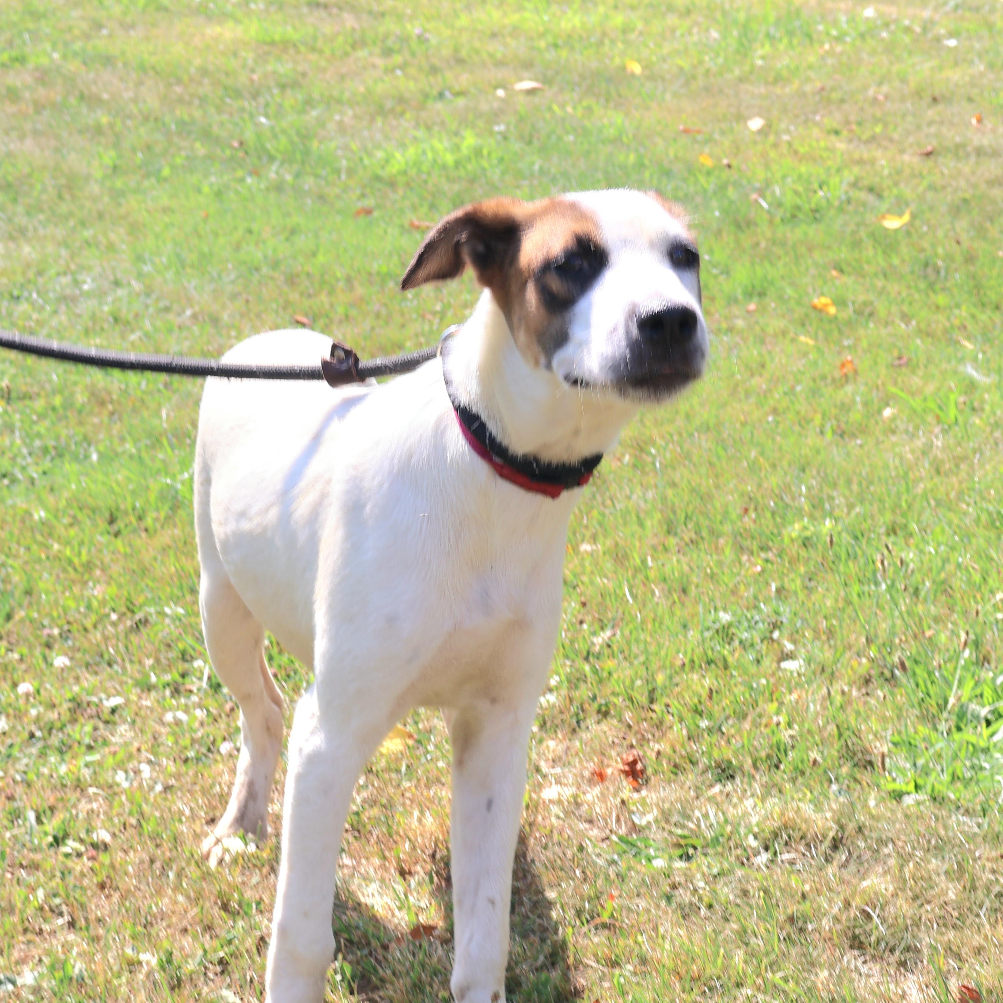 PASCAL in NY to meet and greet!