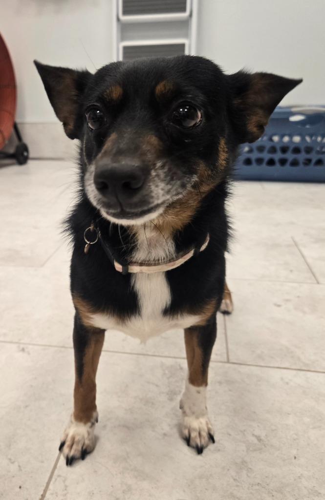 Cora (In Foster)
