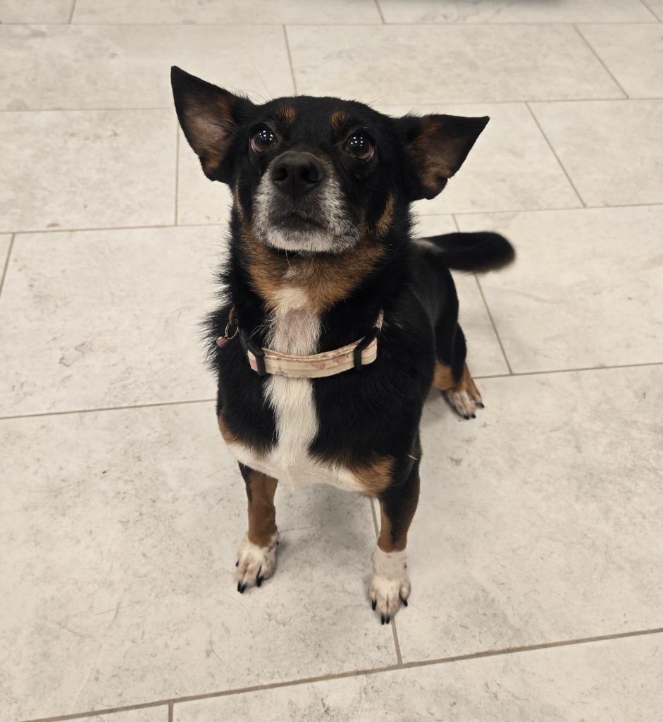 Cora (In Foster)