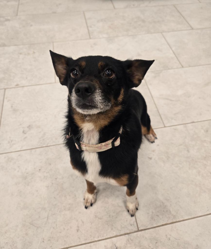 Cora (In Foster)