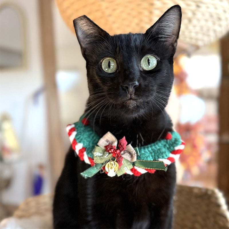 Henry Lee — thumbnail 3