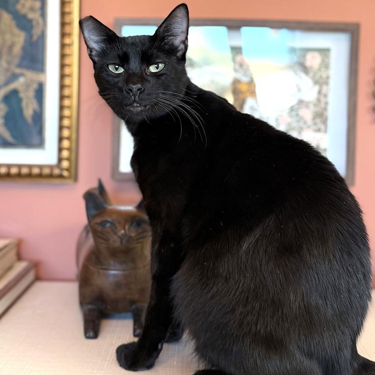 Henry Lee — thumbnail 4