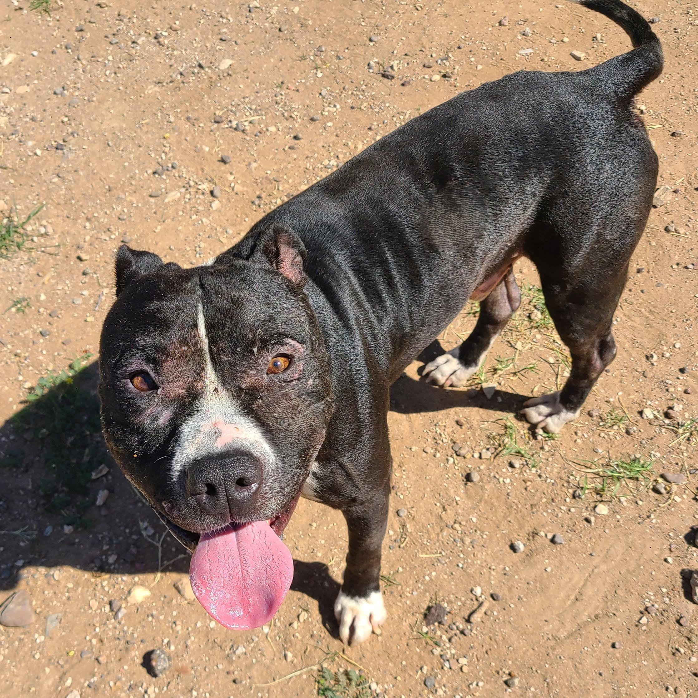 Floyd photo 3