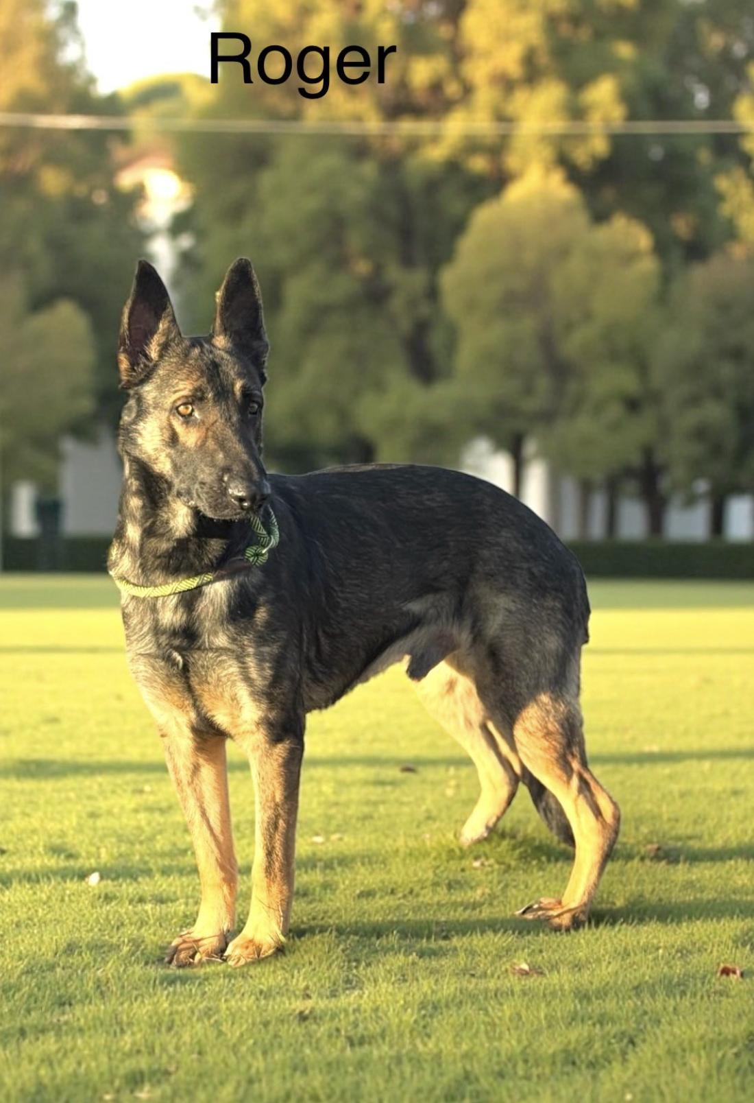 Roger — thumbnail 2