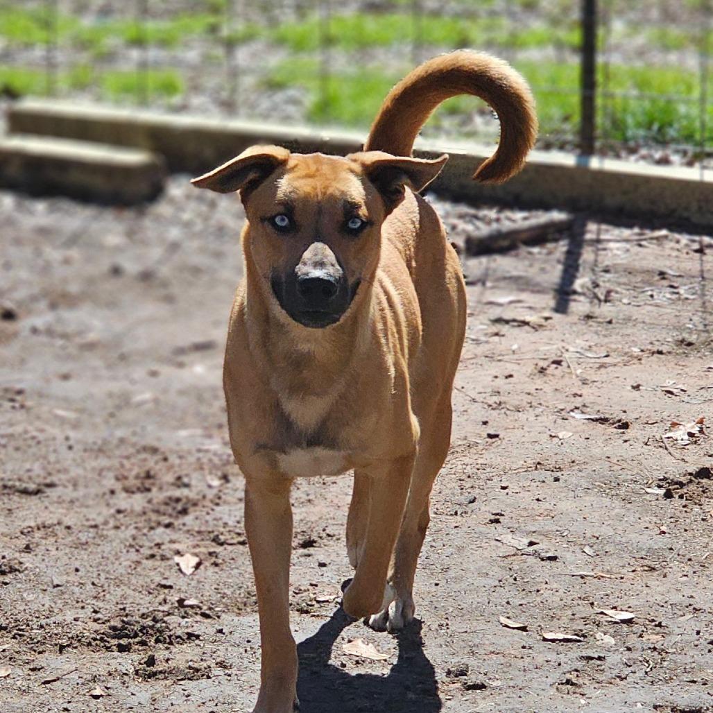 Toby — thumbnail 4