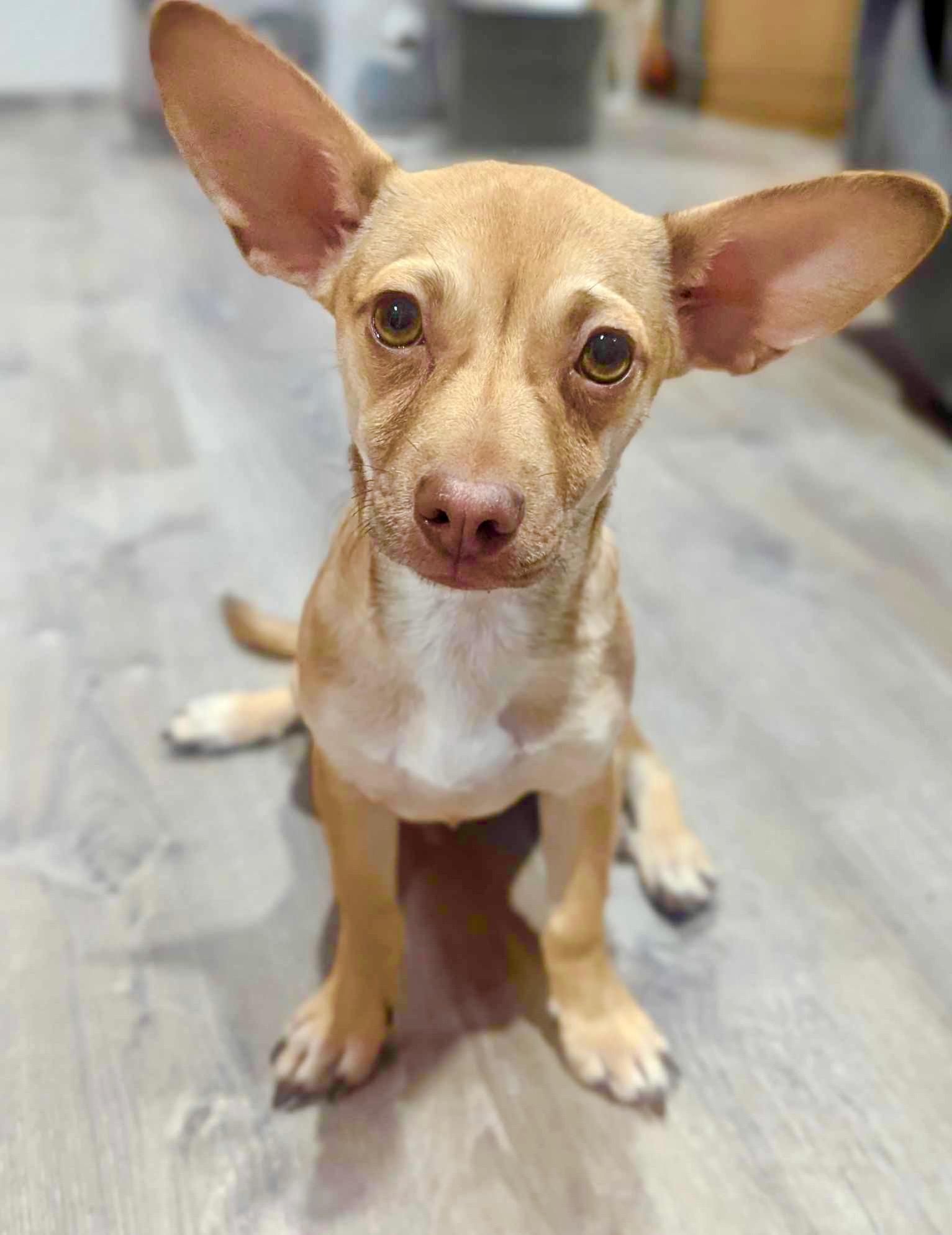 Oona
