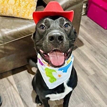 Mack McWiggles your Happy Bestie