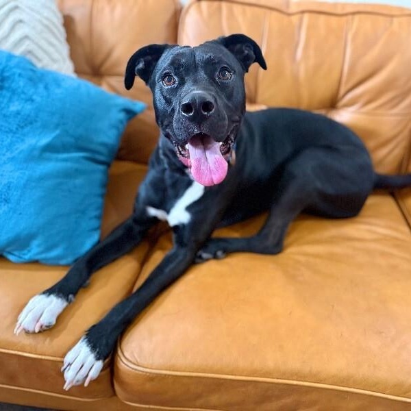 Mack McWiggles your Happy Bestie — thumbnail 3