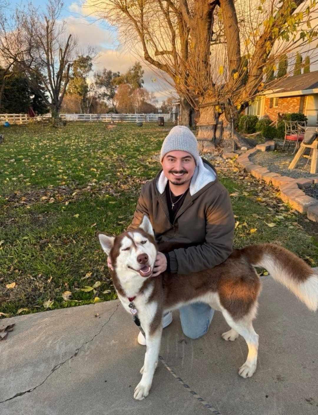 Enlarge Aleister, a Adoptable Siberian Husky in Wilton, CA image 3/5