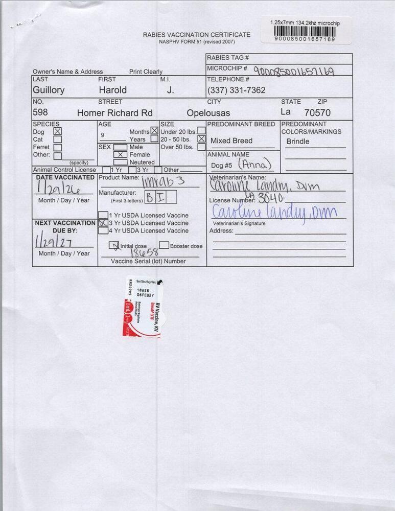 Enlarge Anna, a Adoptable mixed breed in Opelousas, LA image 3/3