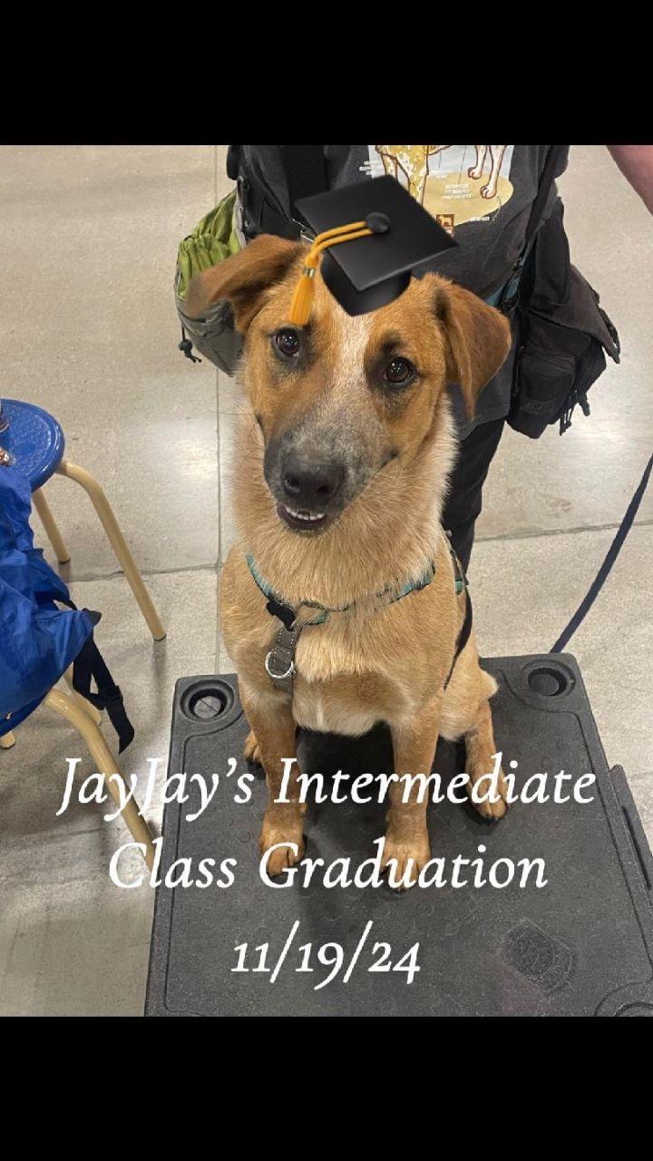 Jay