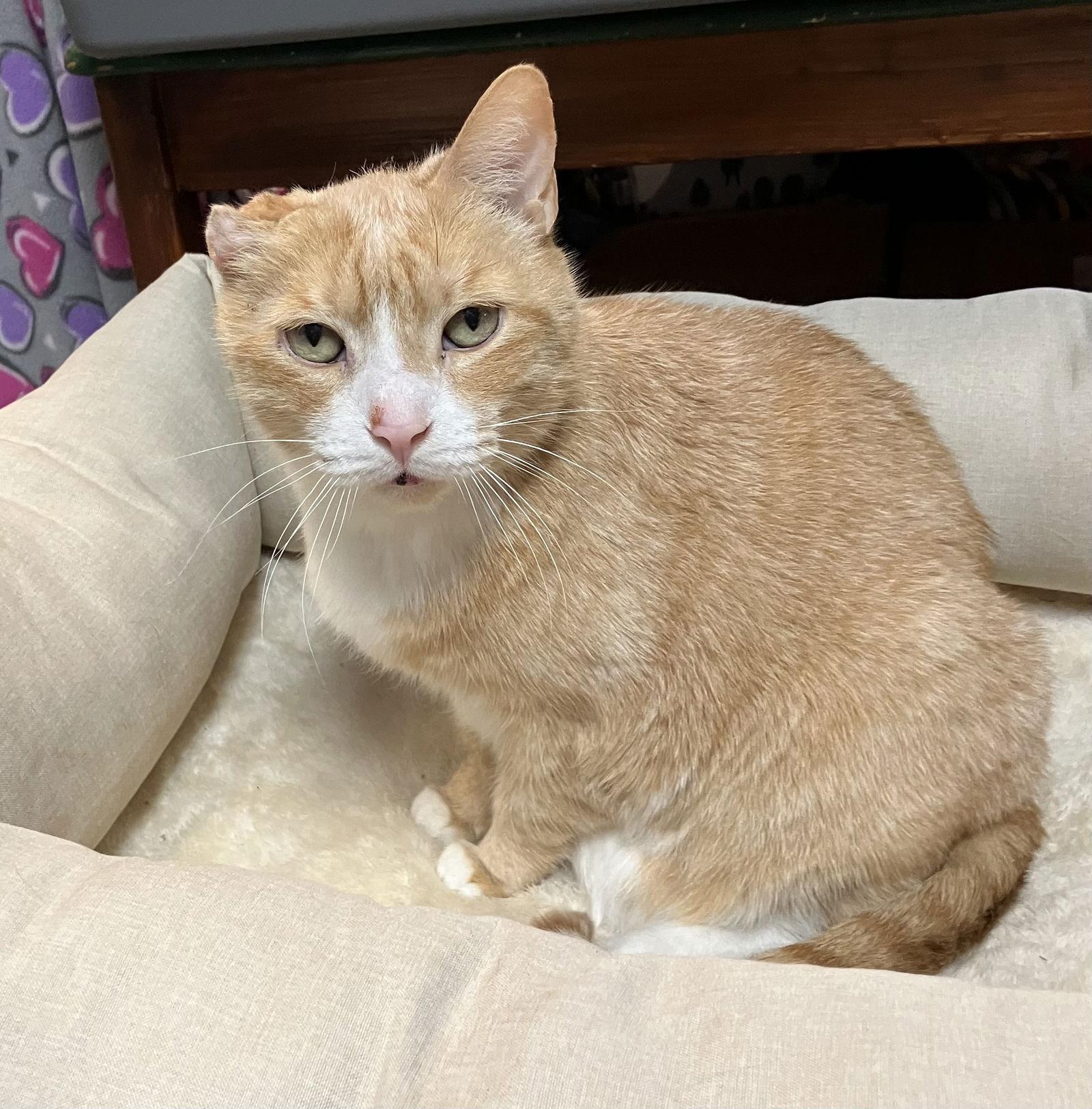 Arlo — thumbnail 3