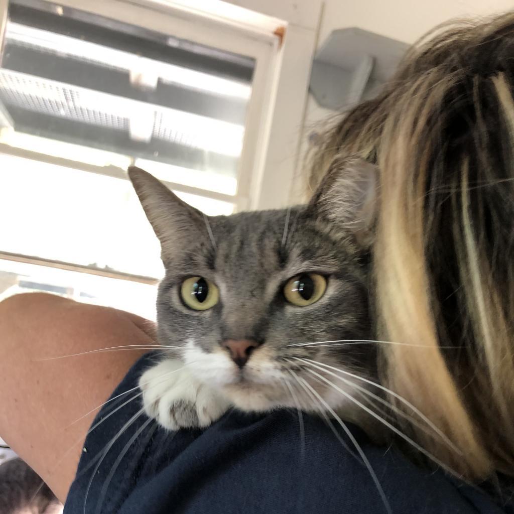 Esmeralda — thumbnail 2