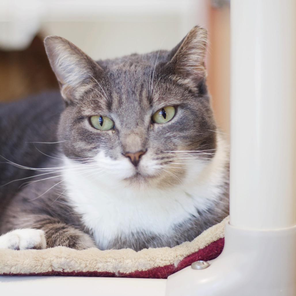 Esmeralda — thumbnail 3