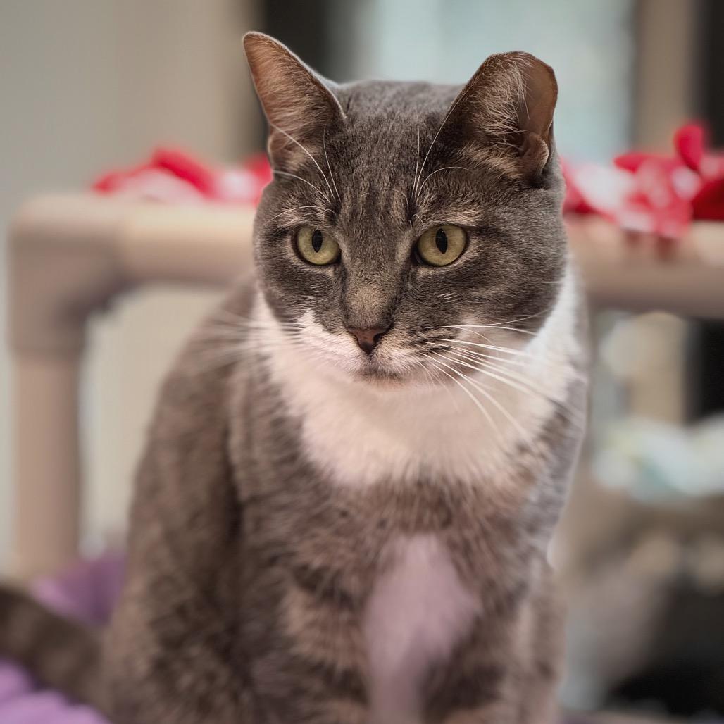 Esmeralda — thumbnail 5