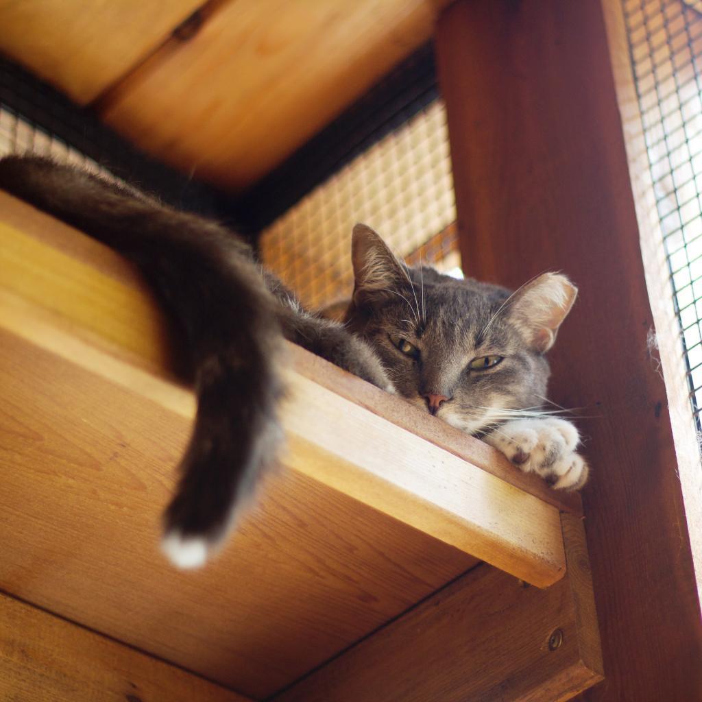 Esmeralda — thumbnail 6