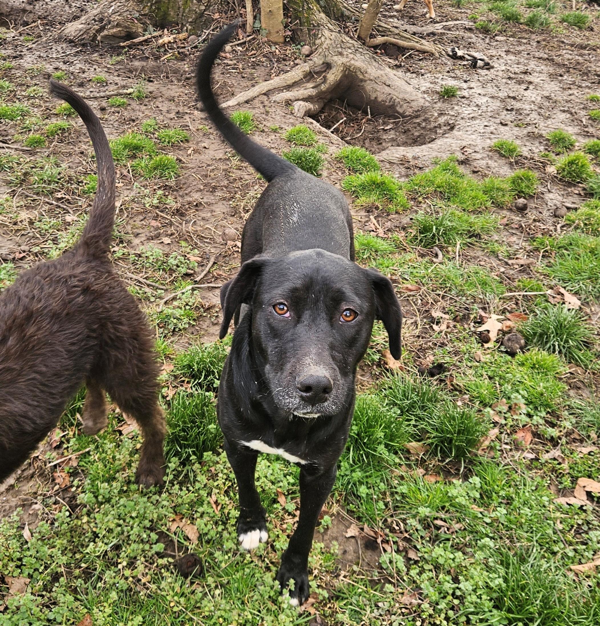 Josie Hanna — thumbnail 2