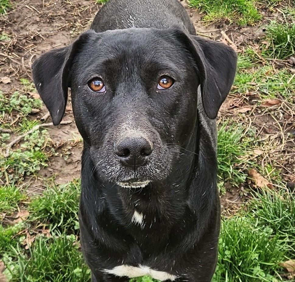 Josie Hanna — thumbnail 4