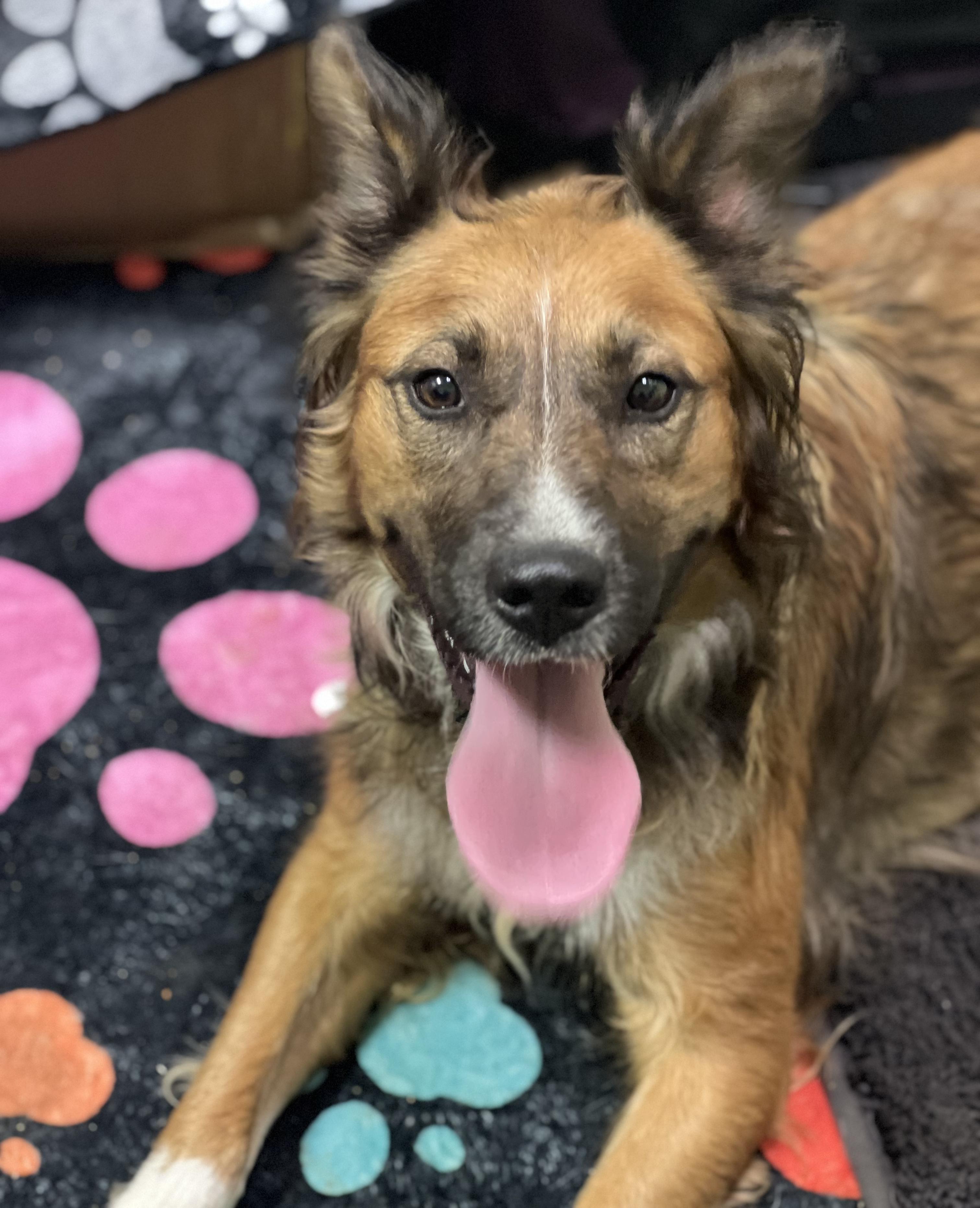 Roberta — thumbnail 2