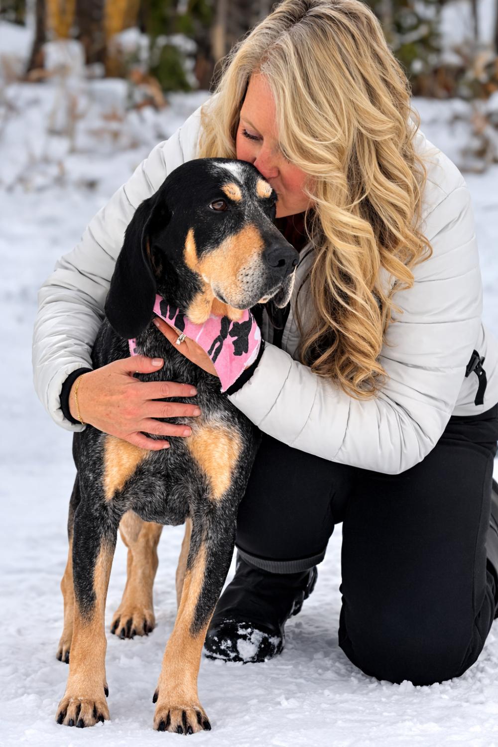 Enlarge Pie, a ADOPTABLE Bluetick Coonhound in Cheboygan, MI image 6/6