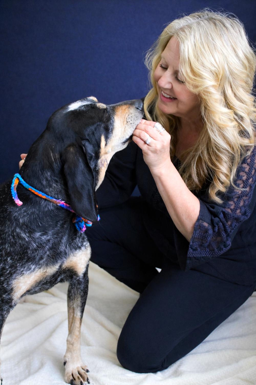 Enlarge Pie, a ADOPTABLE Bluetick Coonhound in Cheboygan, MI image 2/6