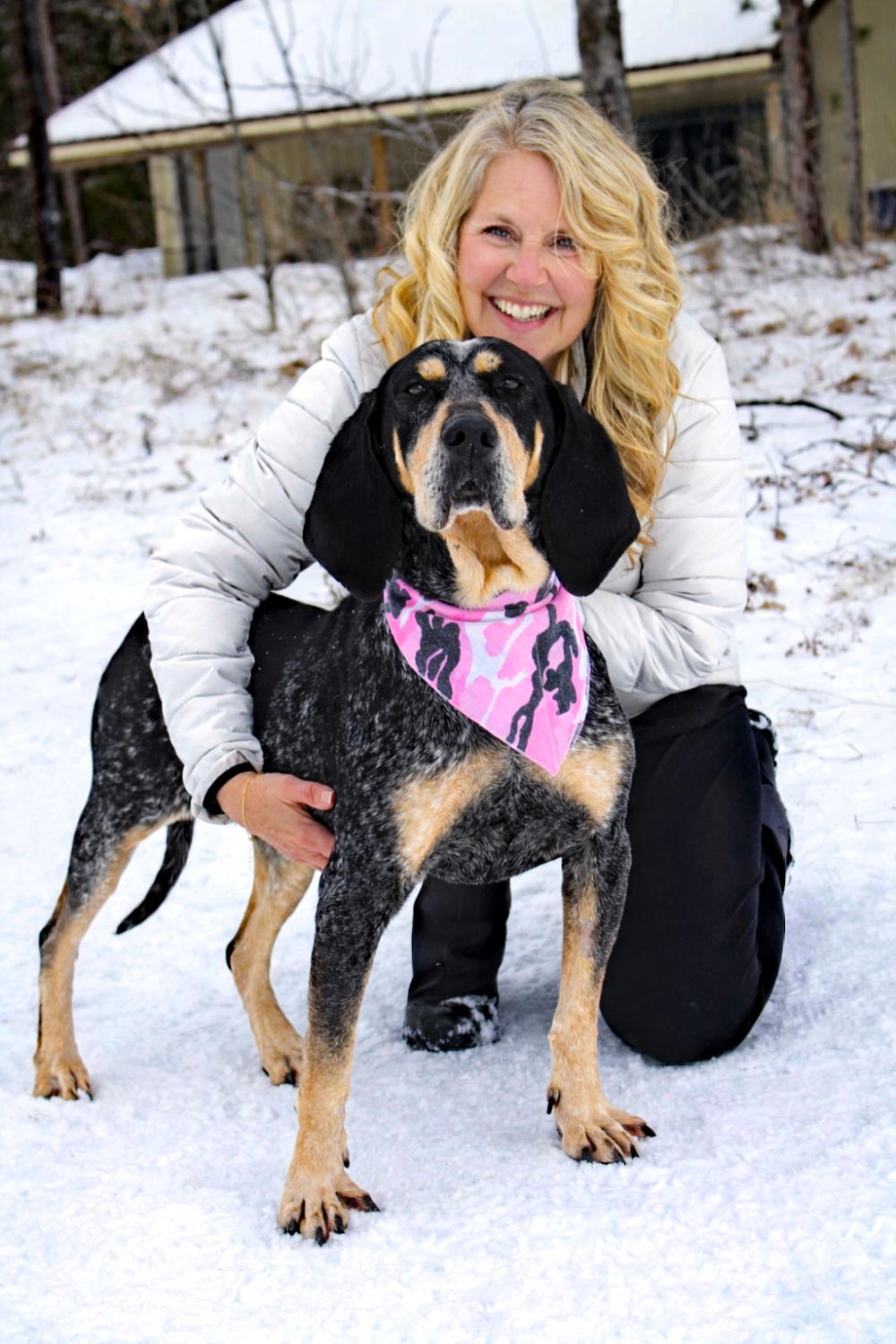Enlarge Pie, a ADOPTABLE Bluetick Coonhound in Cheboygan, MI image 4/6