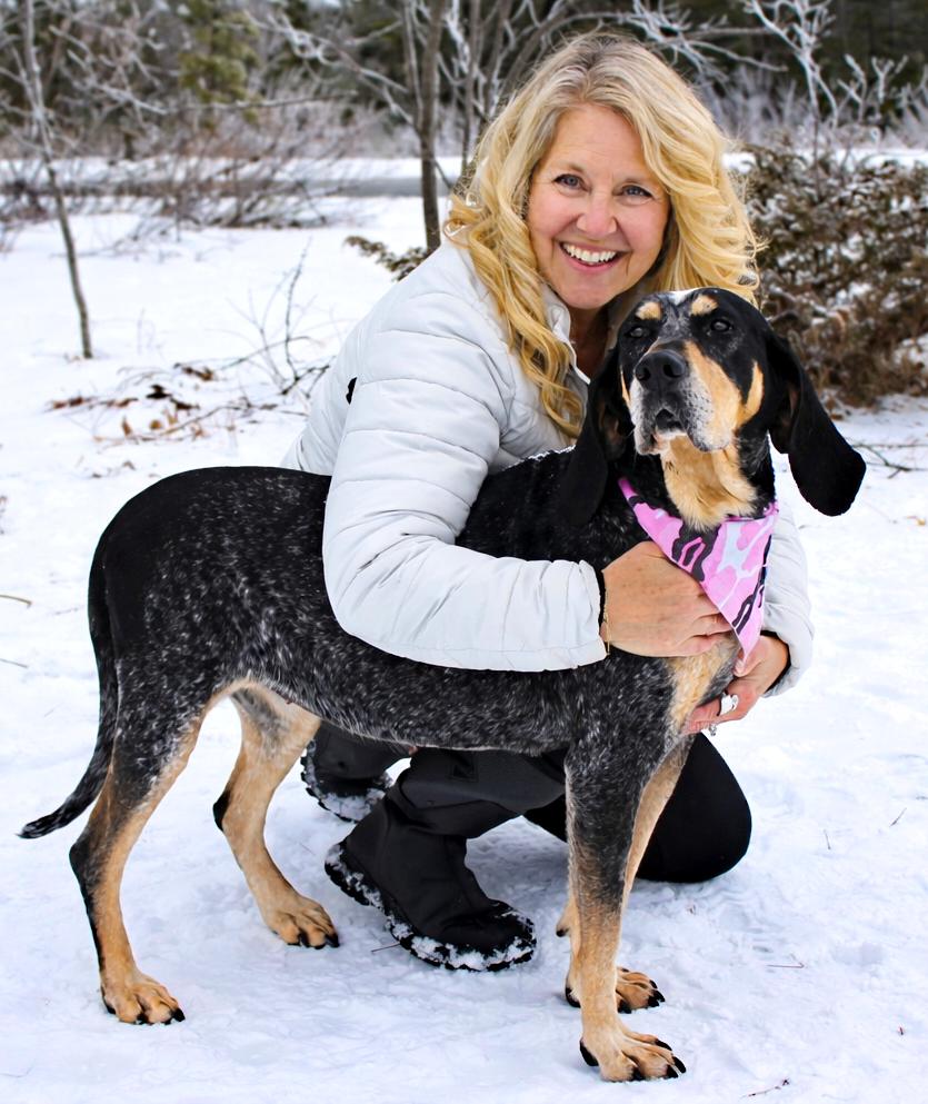 Enlarge Pie, a ADOPTABLE Bluetick Coonhound in Cheboygan, MI image 5/6
