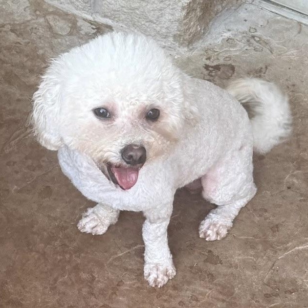 Nicholas thumbnail 2