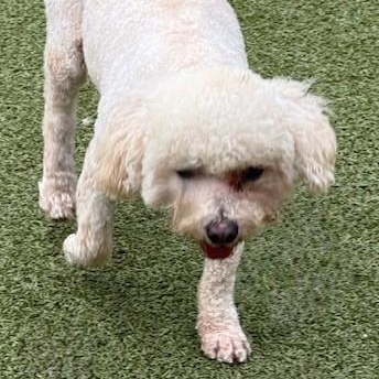 Nicholas thumbnail 3