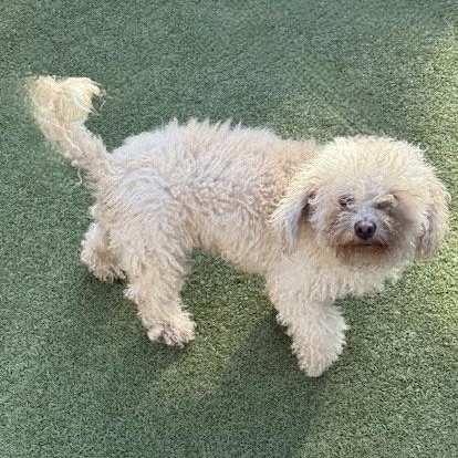 Nicholas thumbnail 5