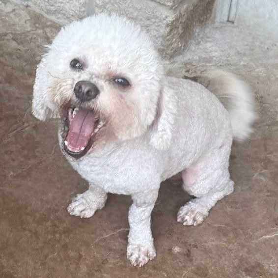 Nicholas thumbnail 6