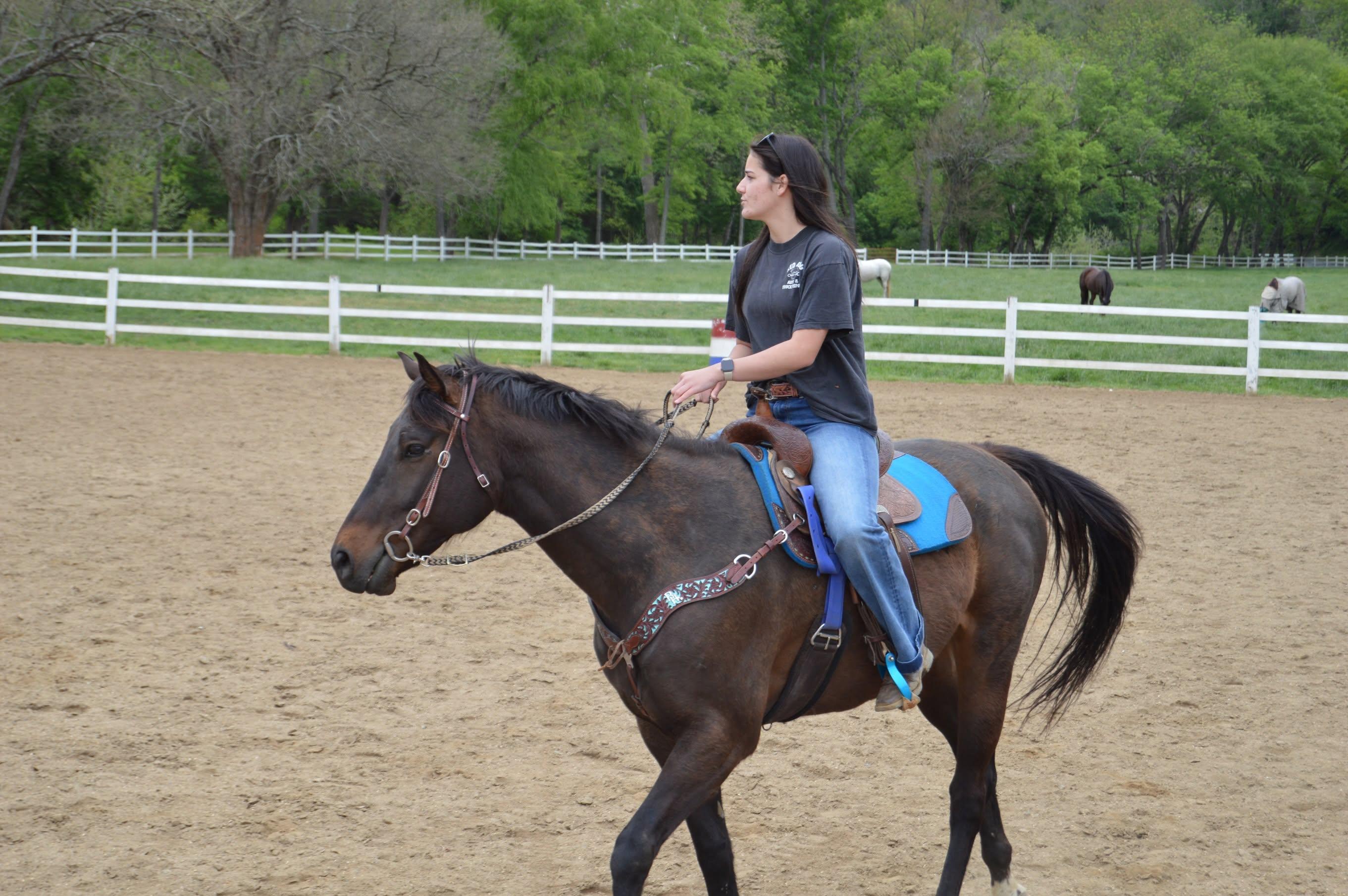 Enlarge Karan (Lucky), an adopted Thoroughbred in KNOXVILLE, MD image 4/6