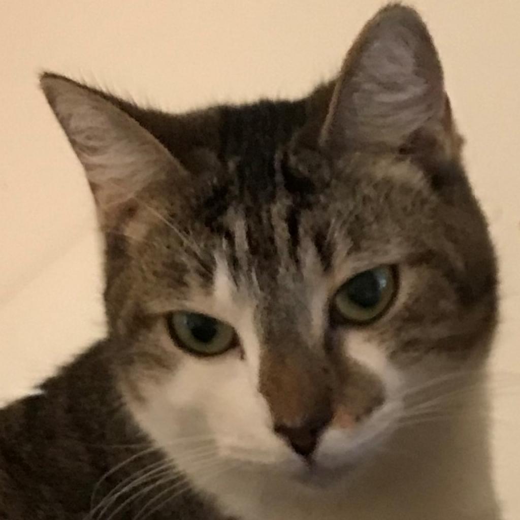 Ursula — thumbnail 3