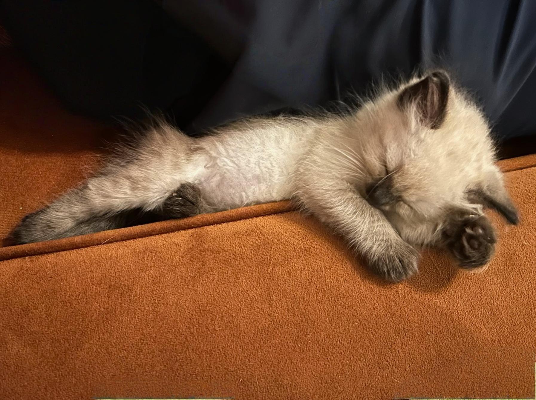 Oliver
