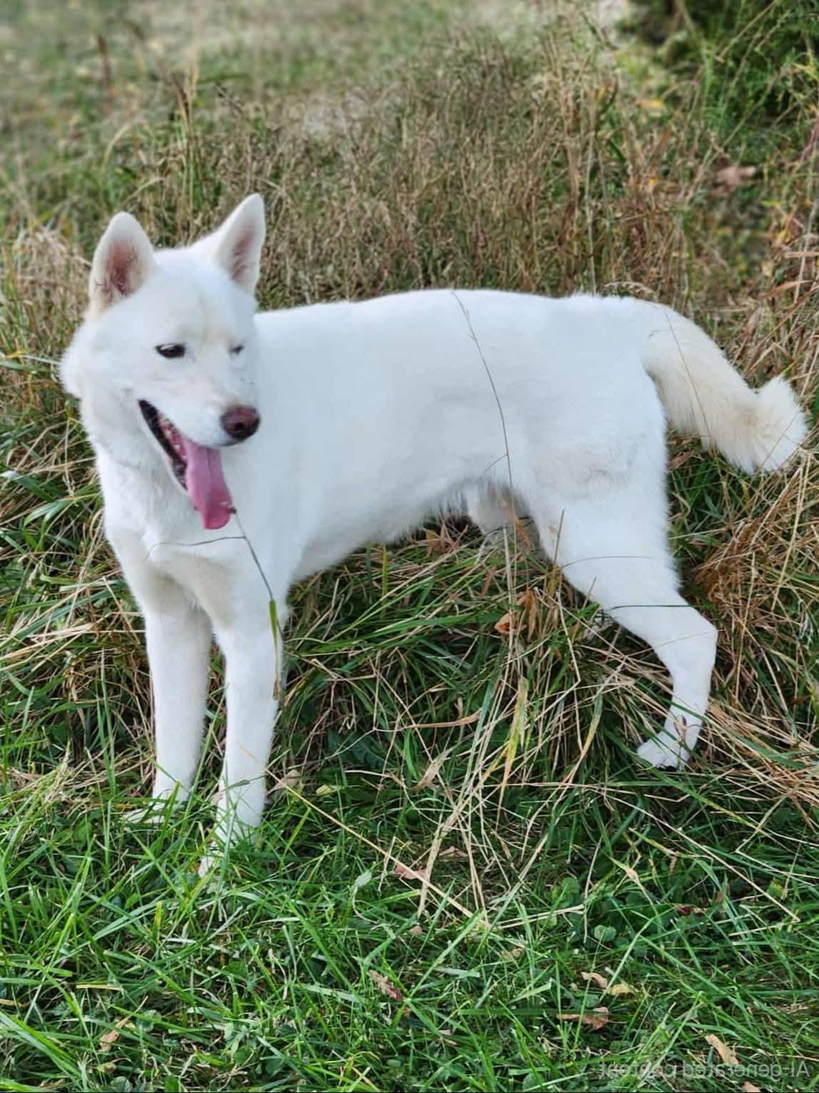 Enlarge Meara & Marina, an adopted mixed breed in Seville, OH image 3/3