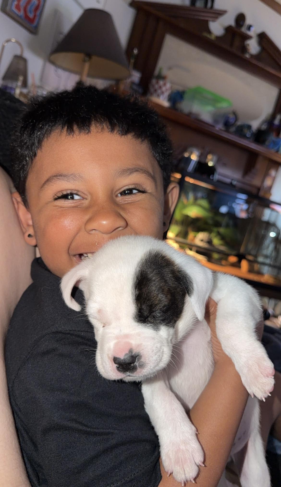 Enlarge Jeremiah, a Adoptable mixed breed in Mount Meigs, AL image 3/3