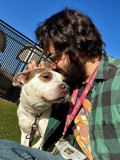 Enlarge Honey, a Adoptable mixed breed in Wichita, KS image 3/3